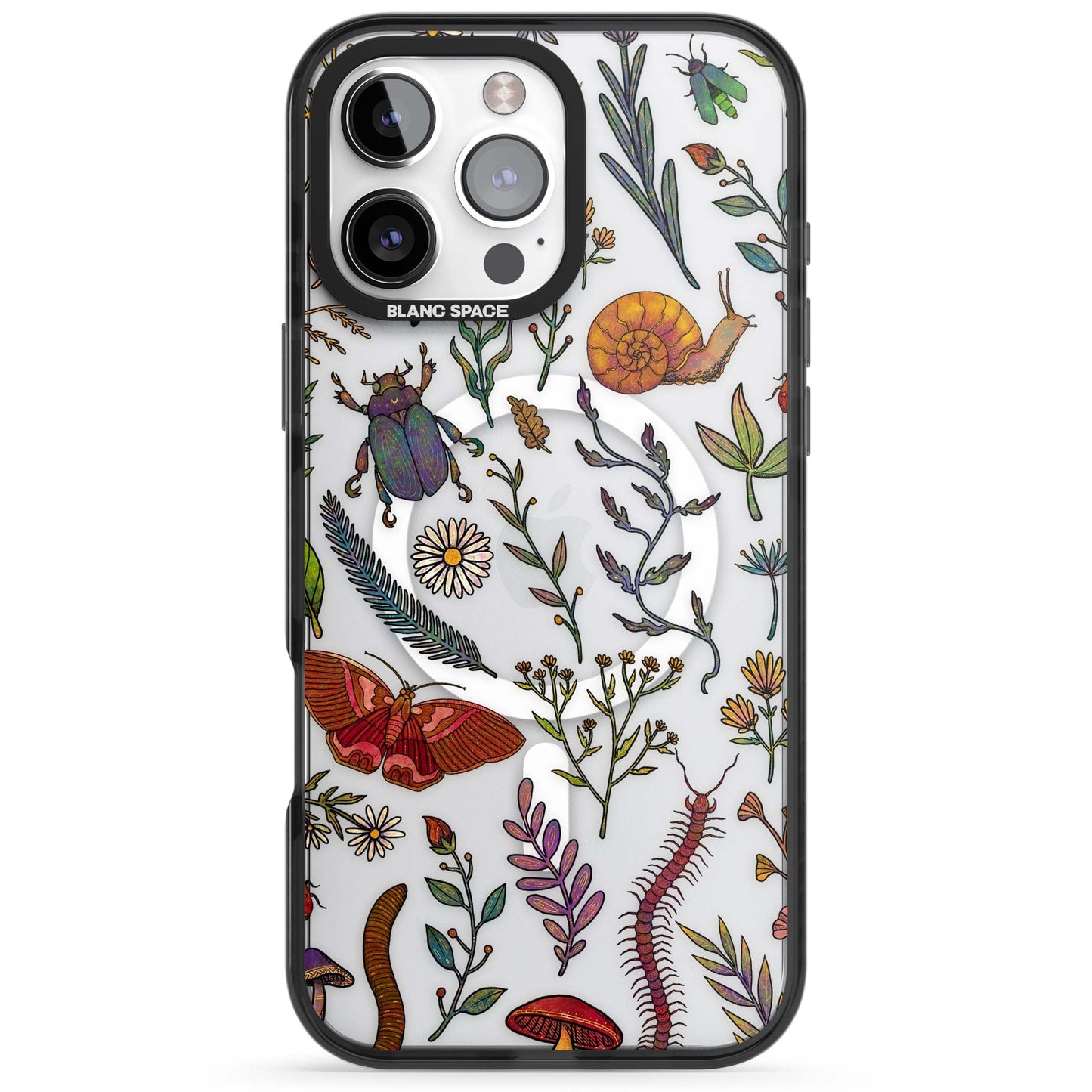 Insectes et fleurs sauvages