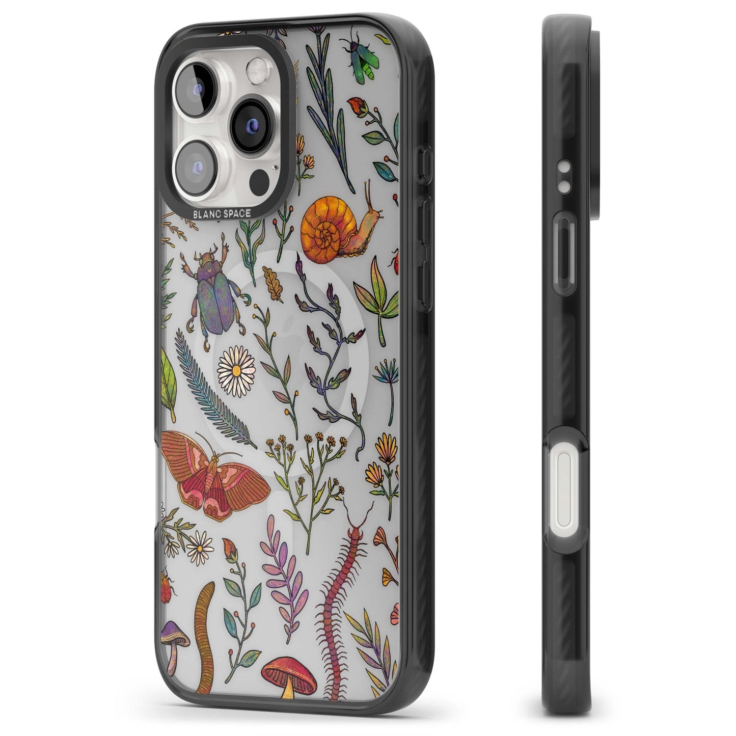 Insectes et fleurs sauvages