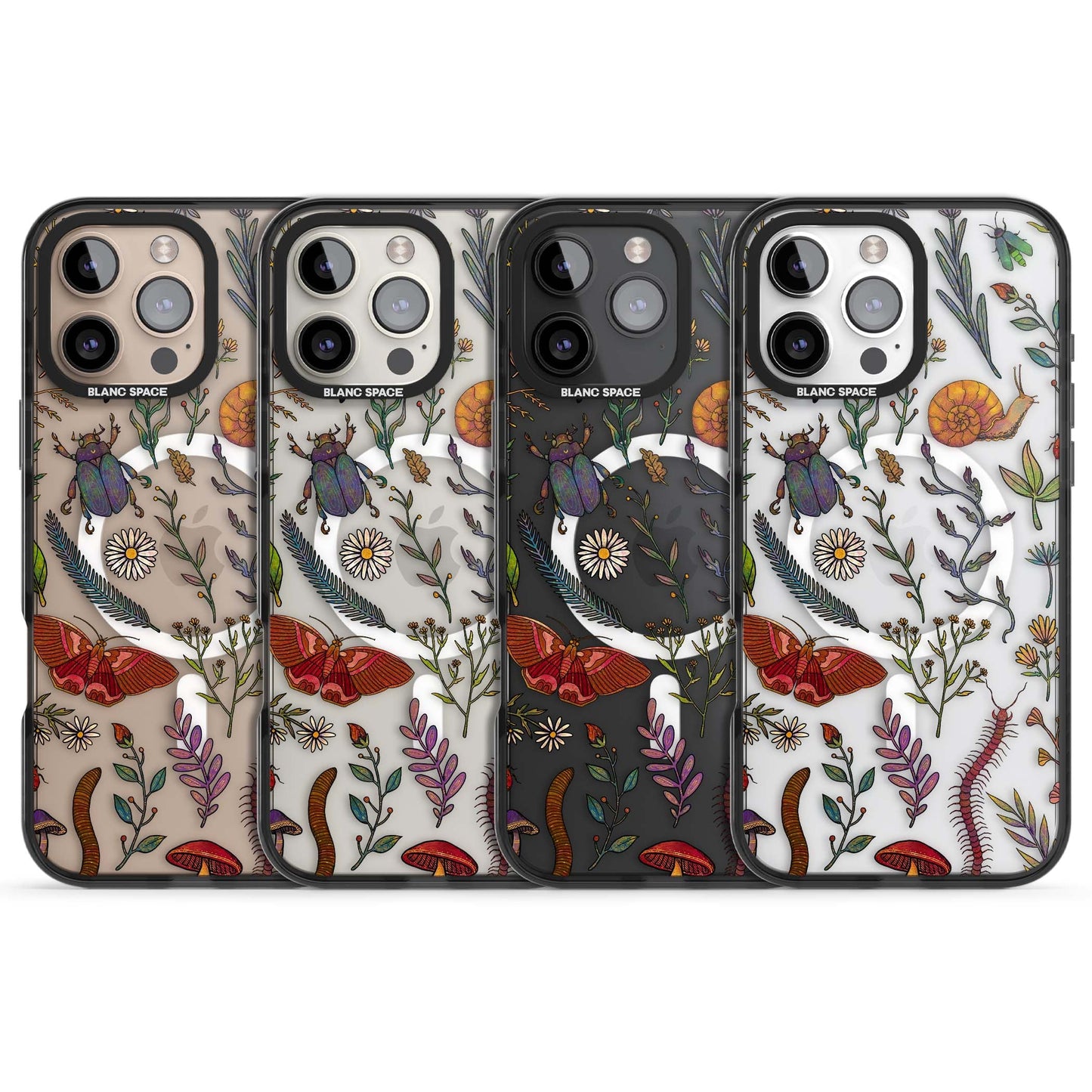 Insectes et fleurs sauvages