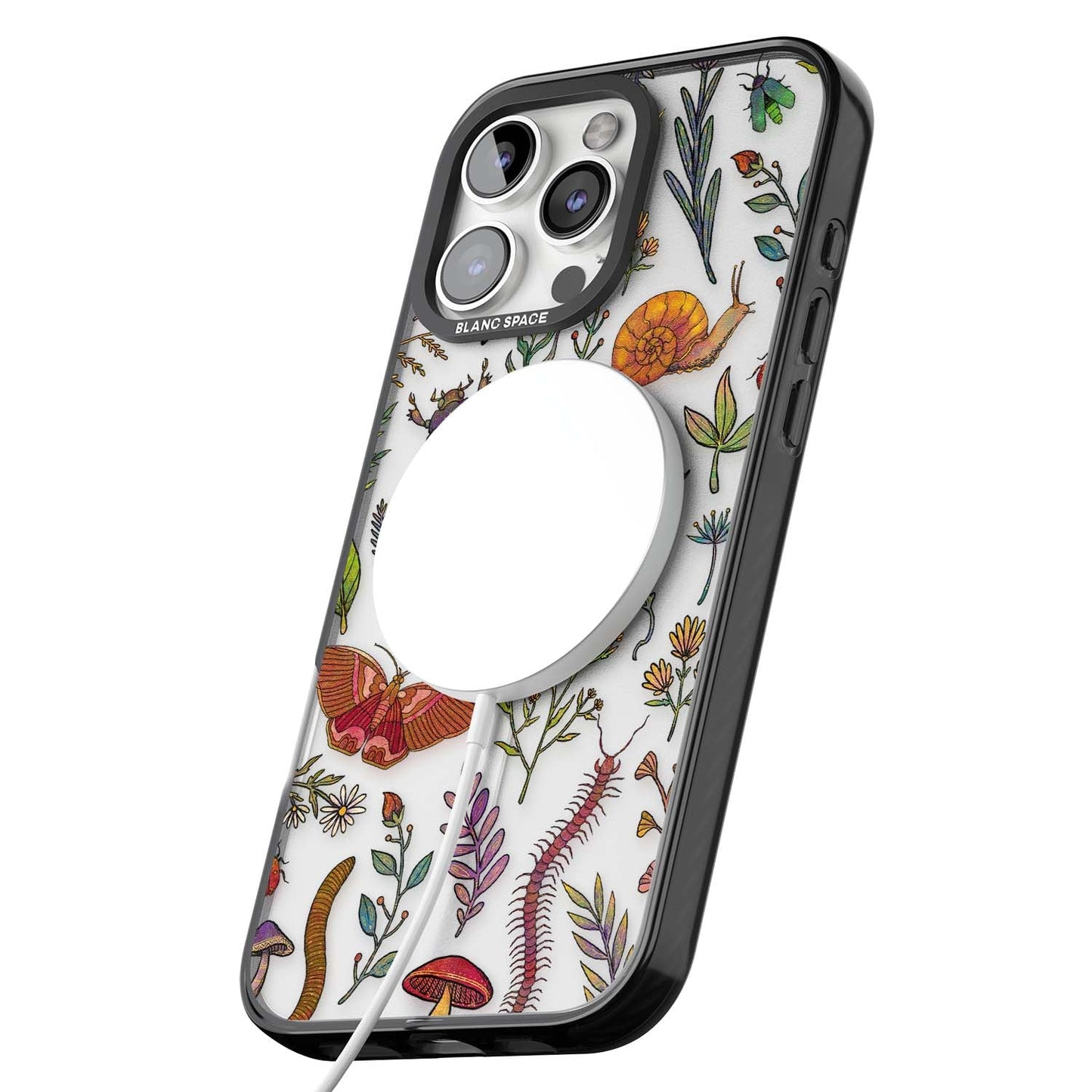 Insectes et fleurs sauvages