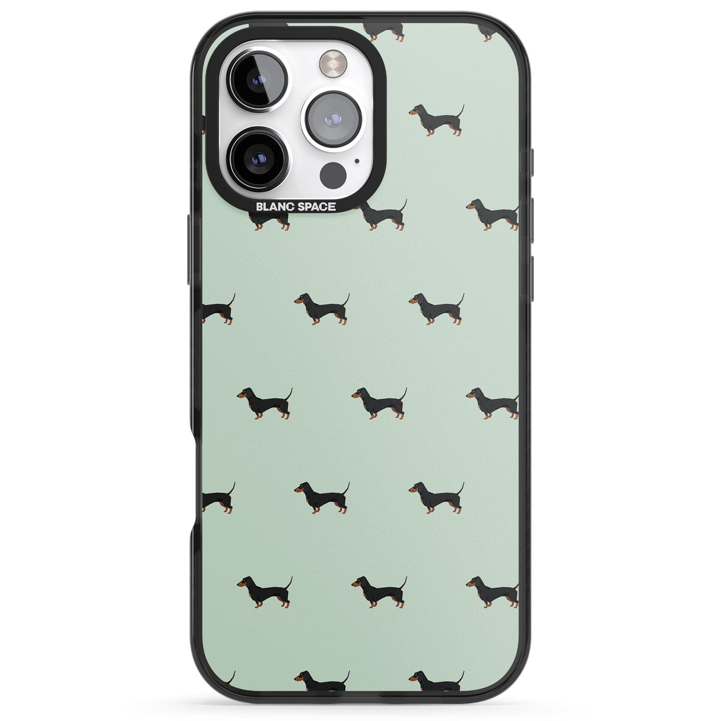 Dachshund Dog Pattern