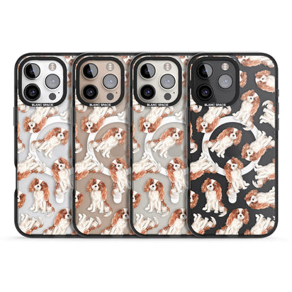 Cavalier King Charles Spaniel