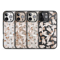 Jack Russell à poil dur fantaisiste