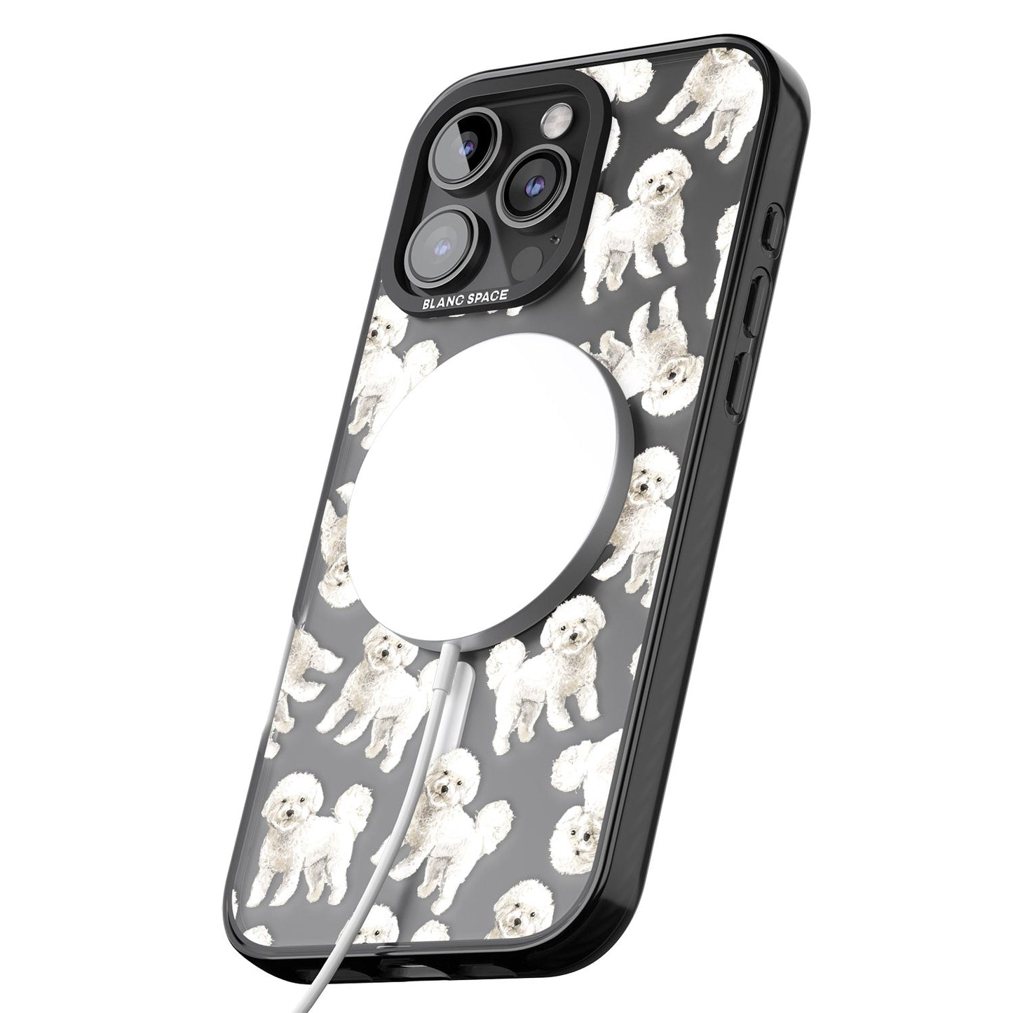 Bichon frisé aquarelle