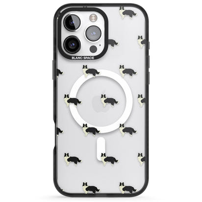 Border Collie Pattern Clear