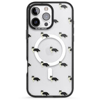 Border Collie Pattern Clear