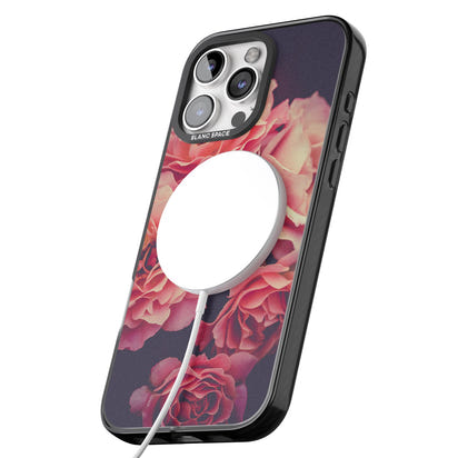 Mitternachtsrosenblüte