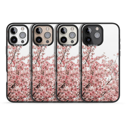 Cherry Blossom Bloom
