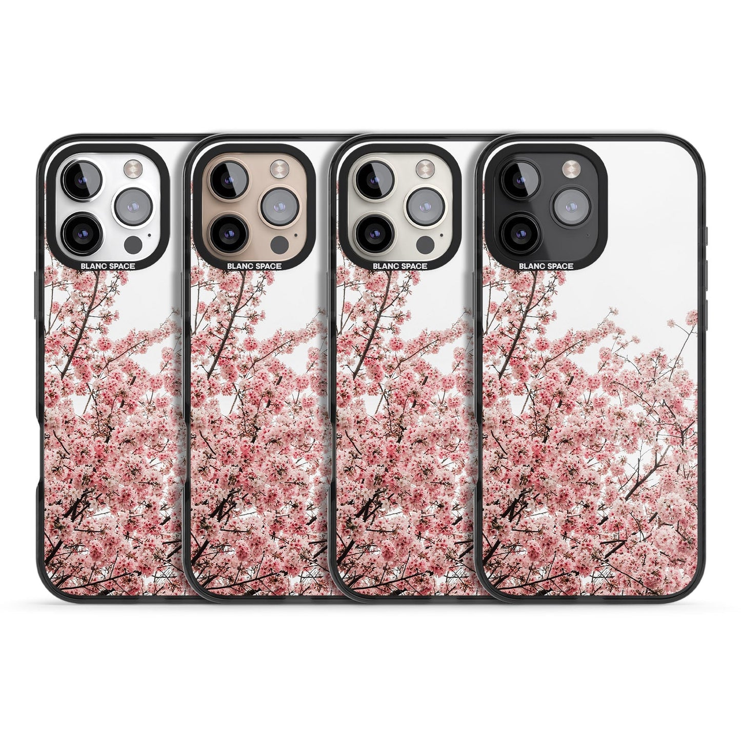 Cherry Blossom Bloom