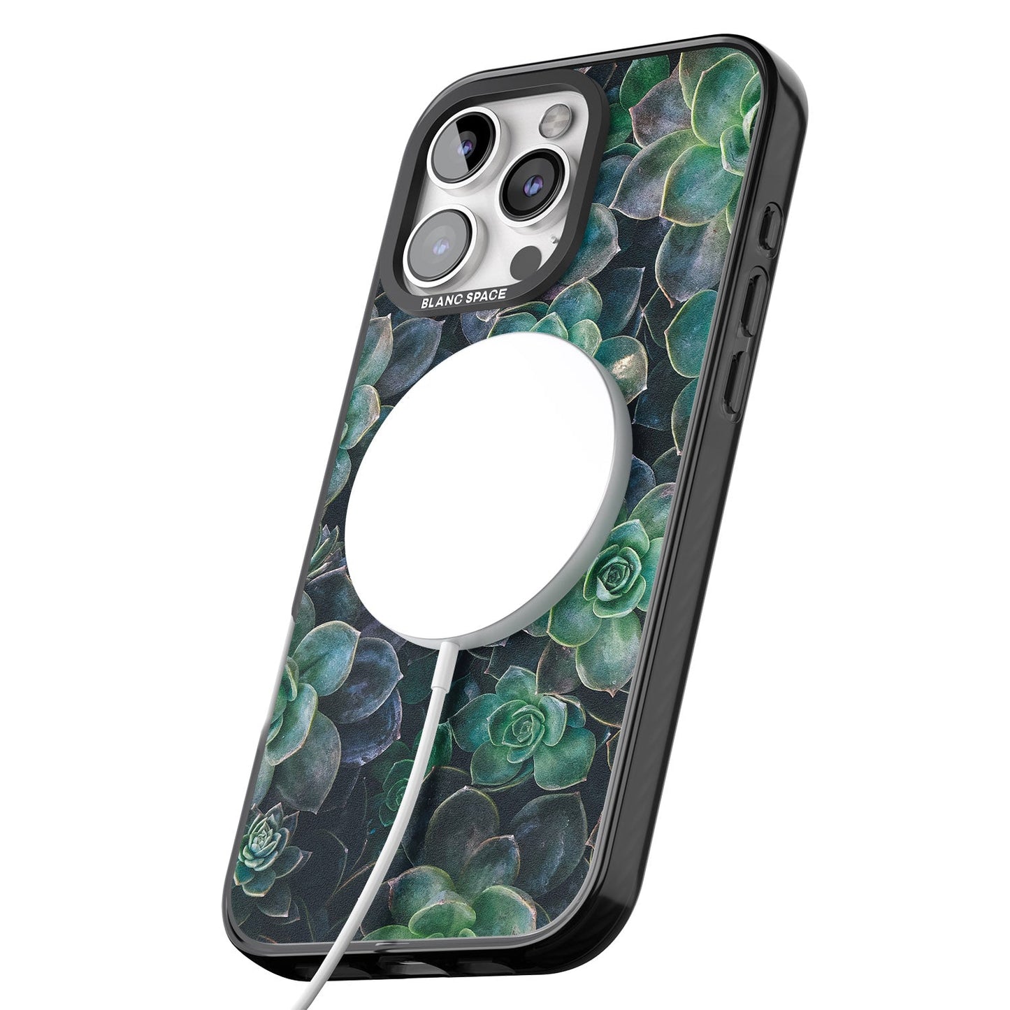 Succulent Bloom Botanical