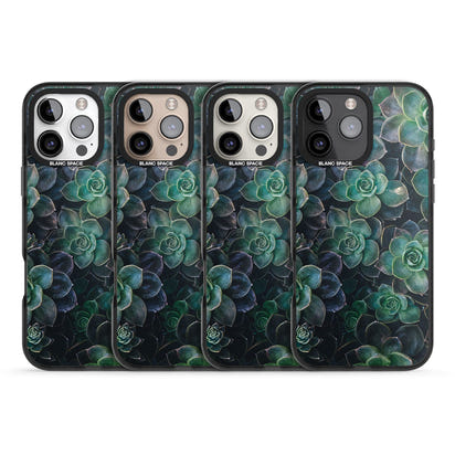 Succulent Bloom Botanical