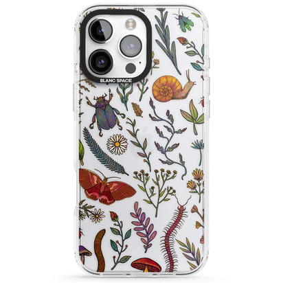 Insectes et fleurs sauvages