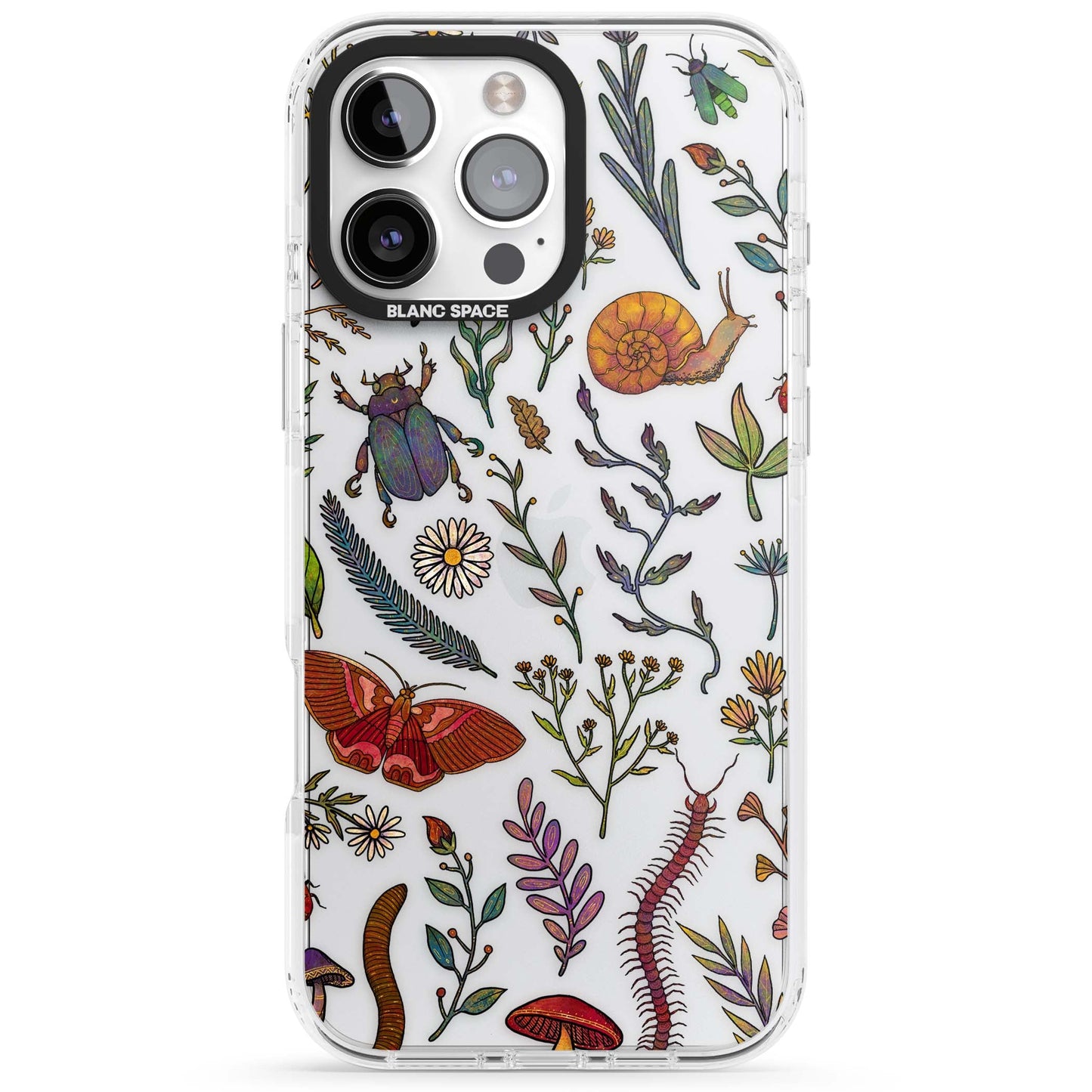 Insectes et fleurs sauvages