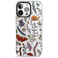 Insectes et fleurs sauvages