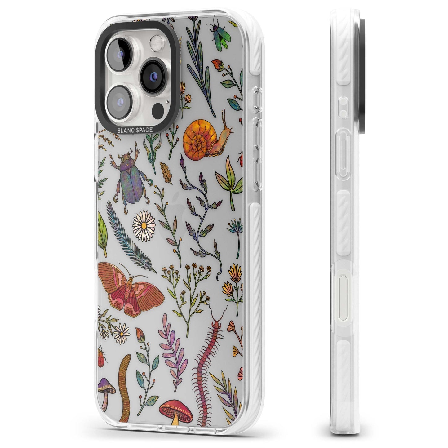 Insectes et fleurs sauvages