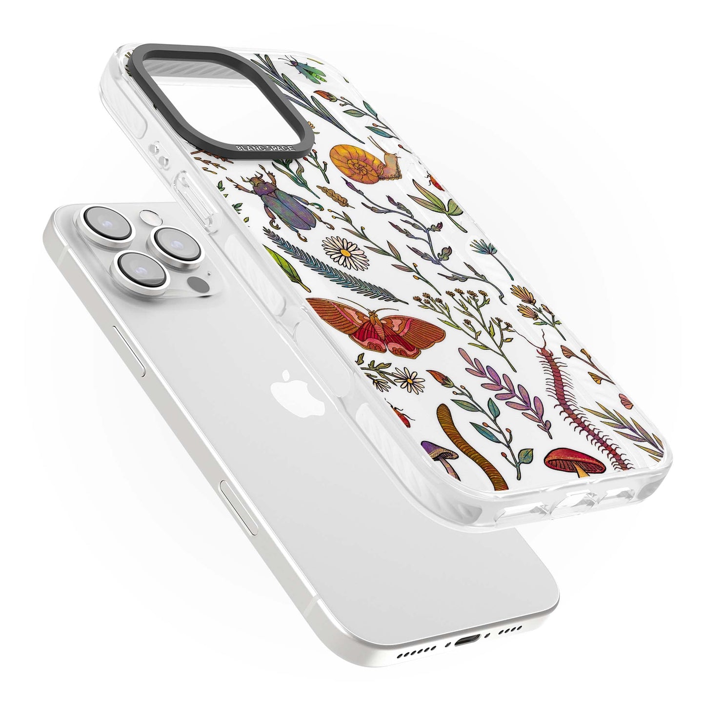 Insectes et fleurs sauvages