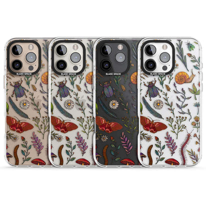 Insectes et fleurs sauvages