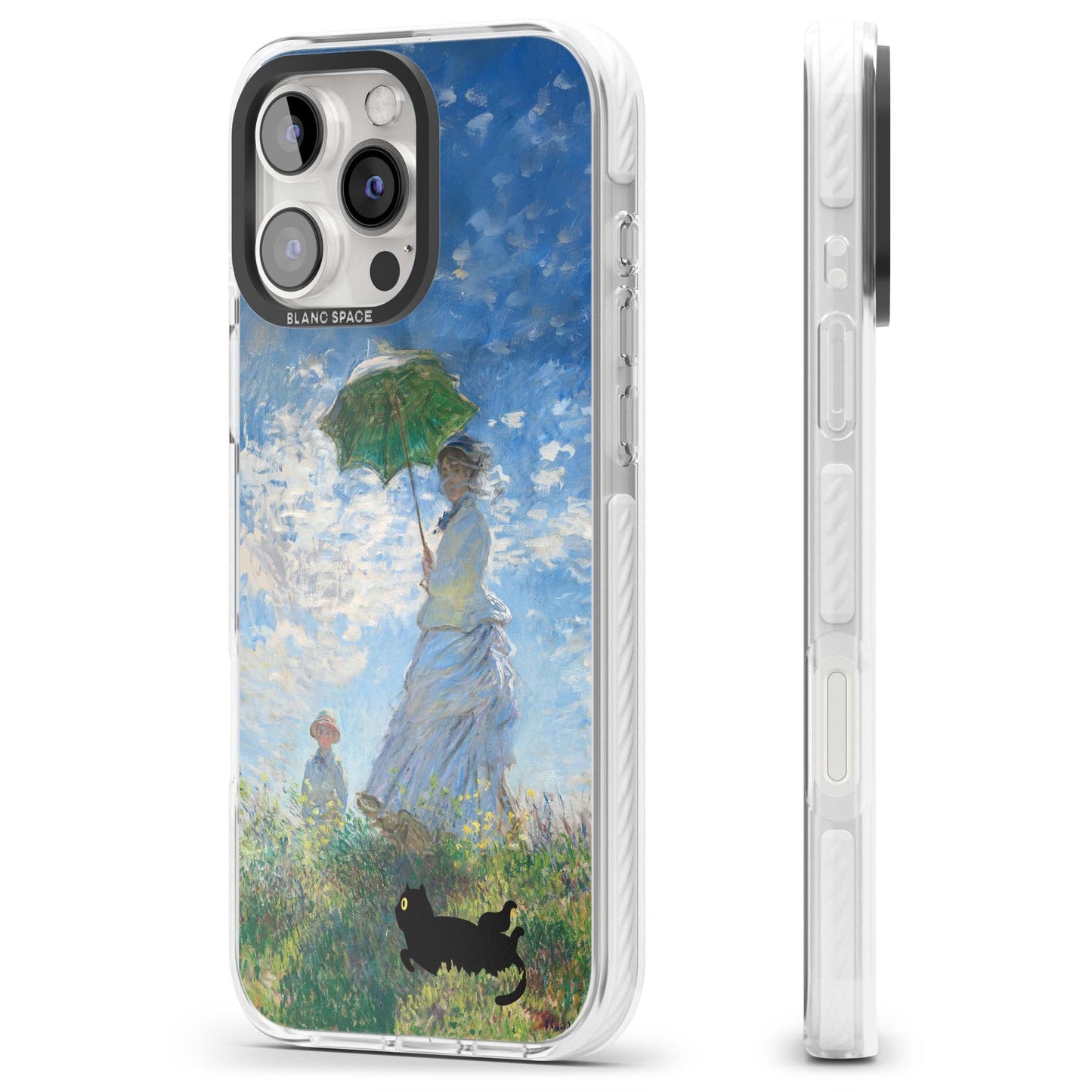 Cat with Monet's Parasol Lady