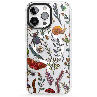 Insectes et fleurs sauvages