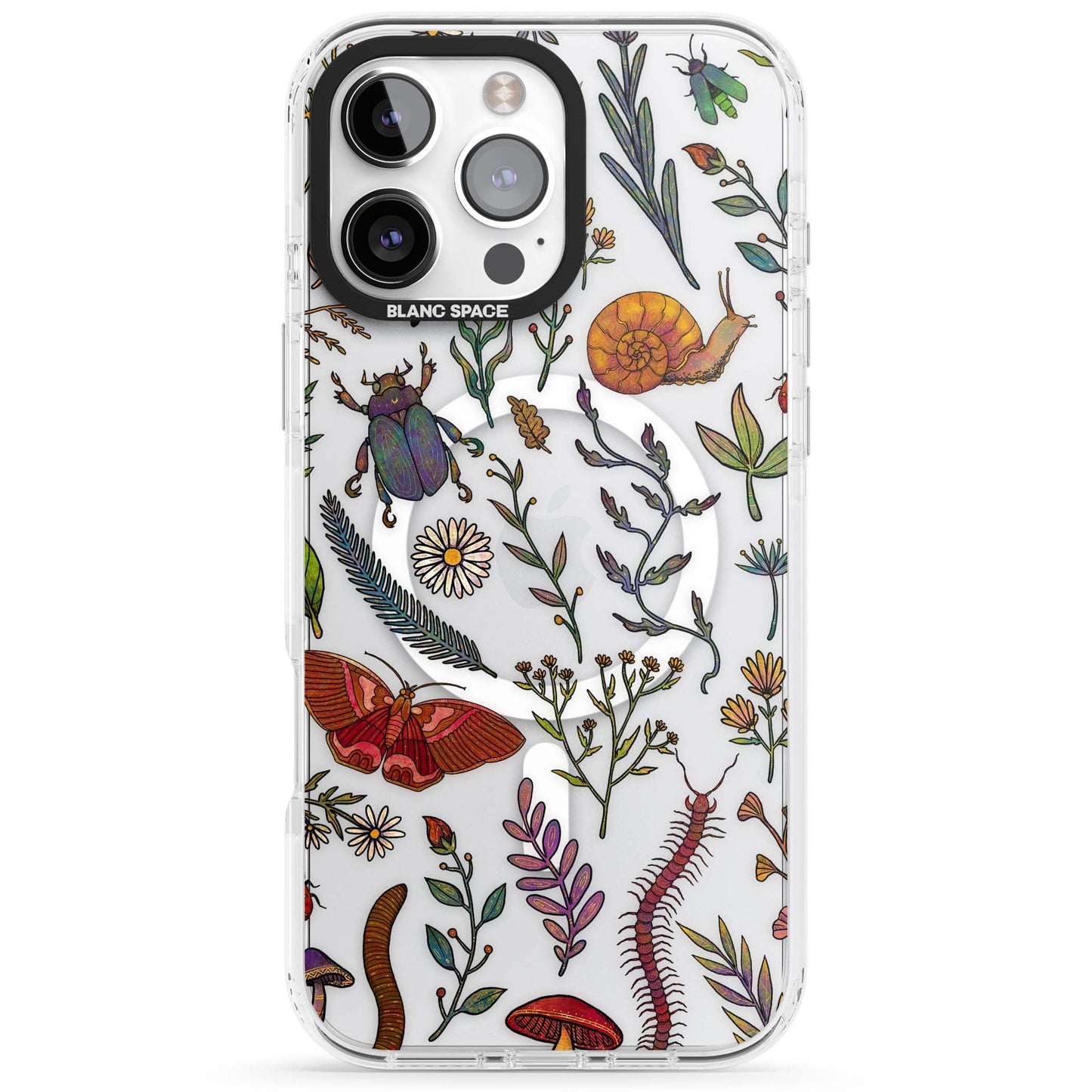 Insectes et fleurs sauvages