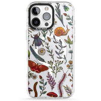 Insectes et fleurs sauvages