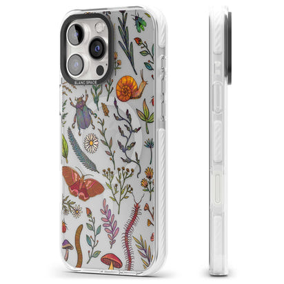 Insectes et fleurs sauvages