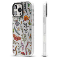 Insectes et fleurs sauvages