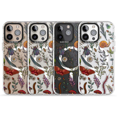 Insectes et fleurs sauvages