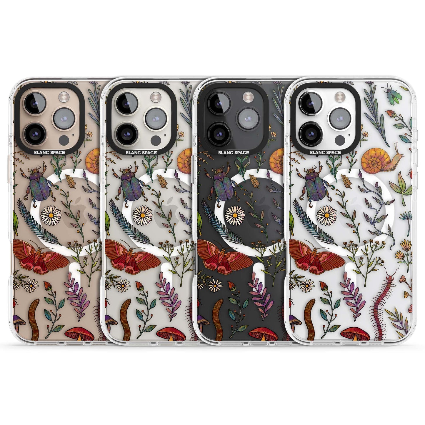 Insectes et fleurs sauvages