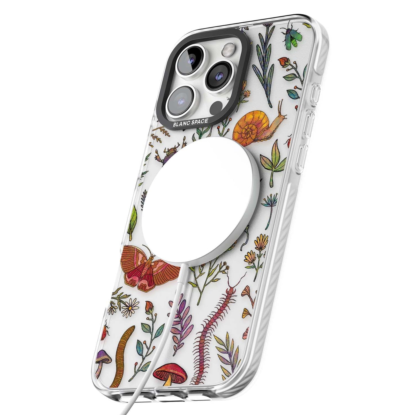 Insectes et fleurs sauvages