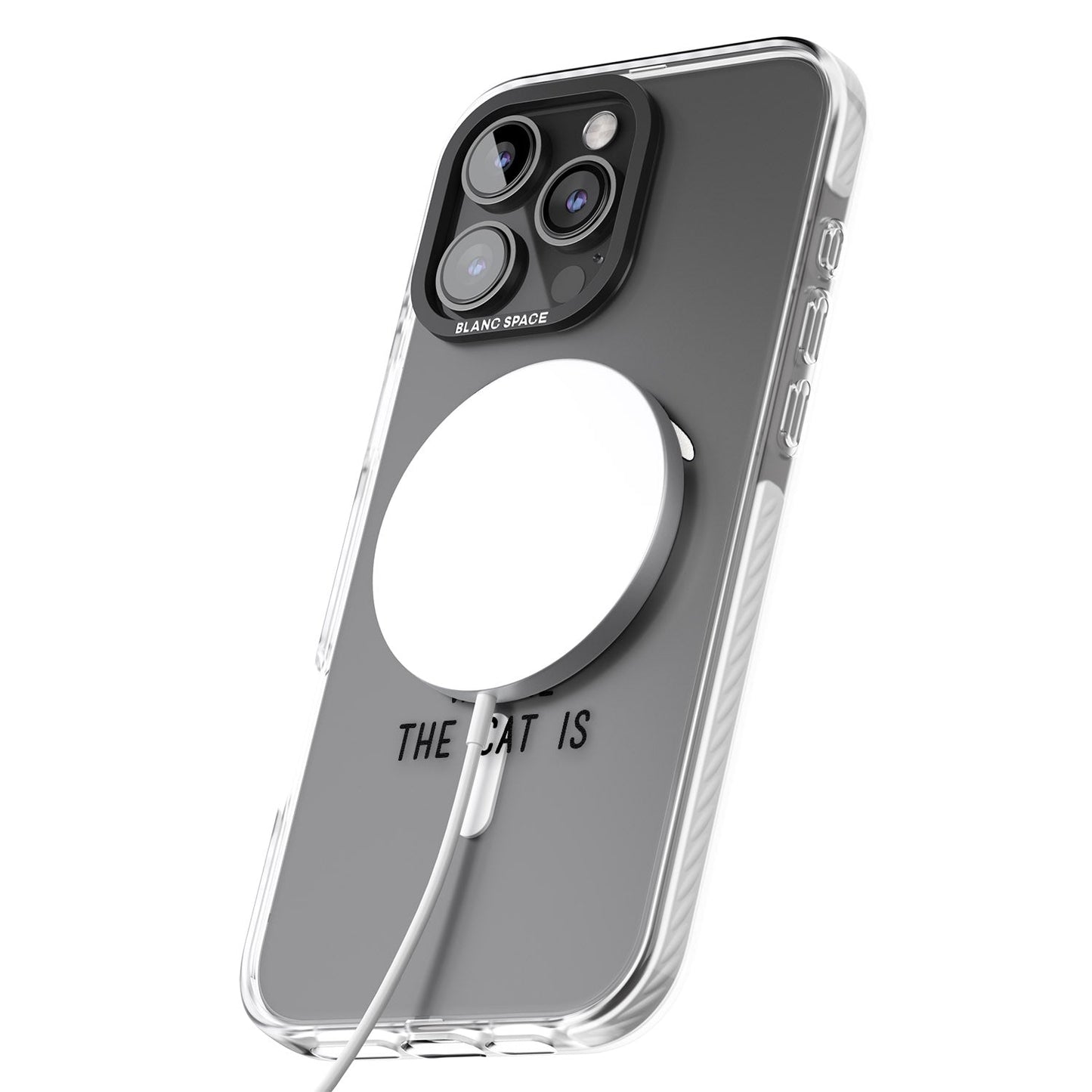 Home Is Where The Cat Is