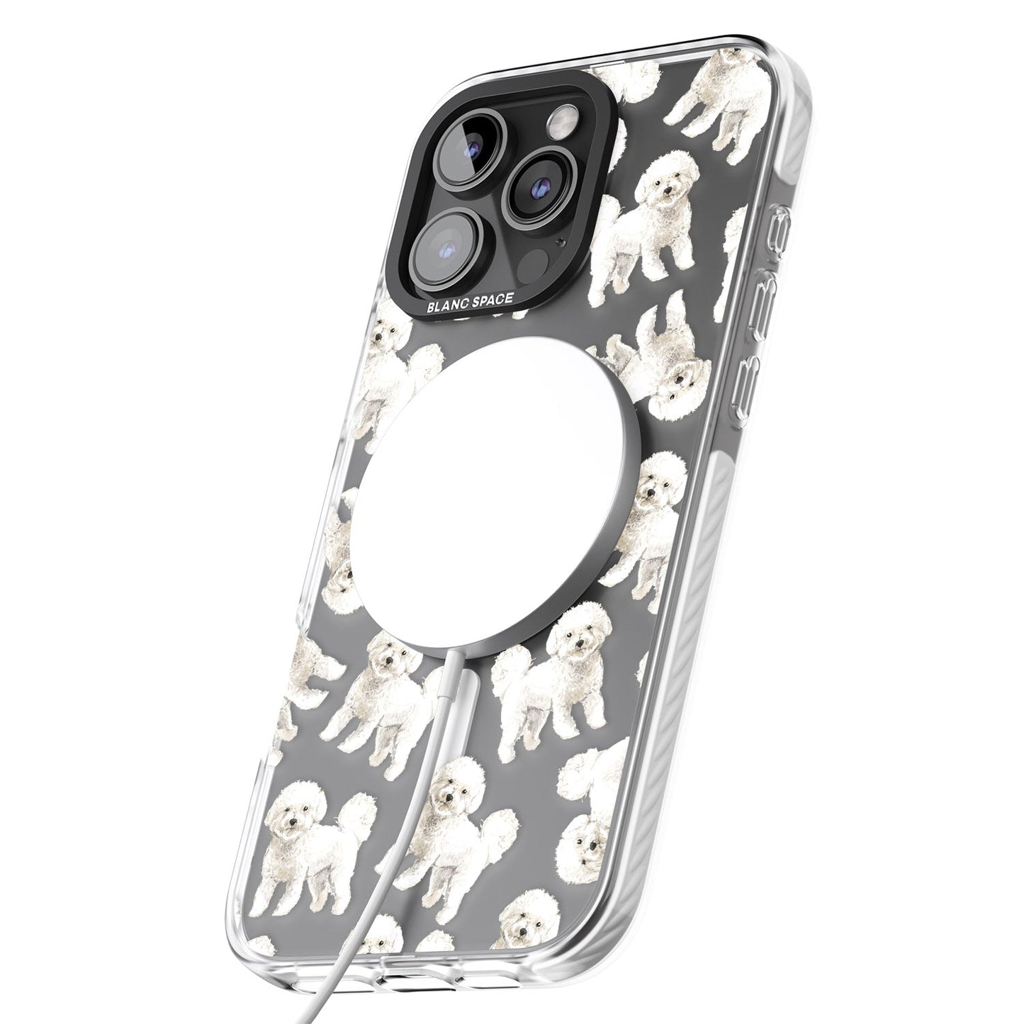 Bichon frisé aquarelle