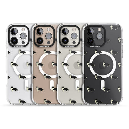 Border Collie Pattern Clear