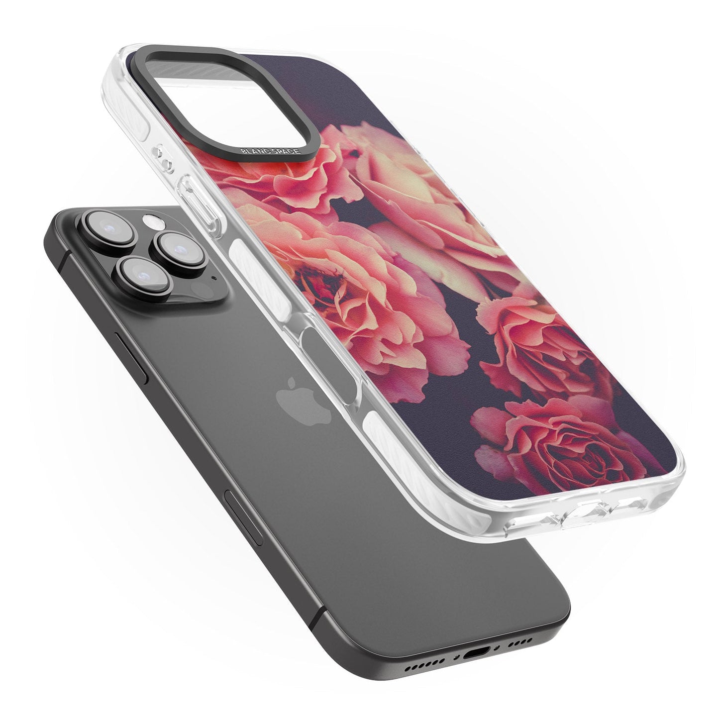 Mitternachtsrosenblüte