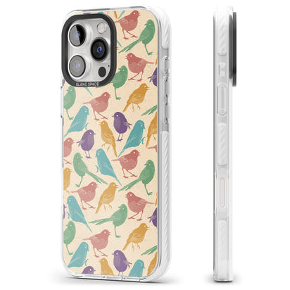 Colorful Feathered Friends