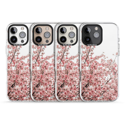 Cherry Blossom Bloom
