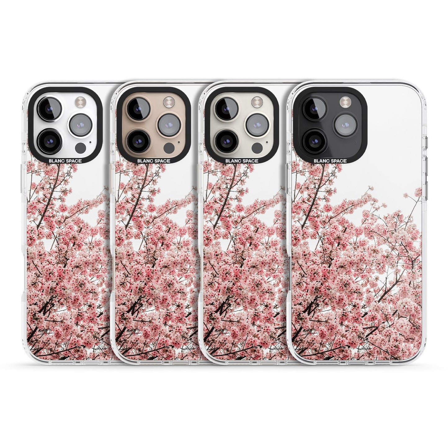 Cherry Blossom Bloom