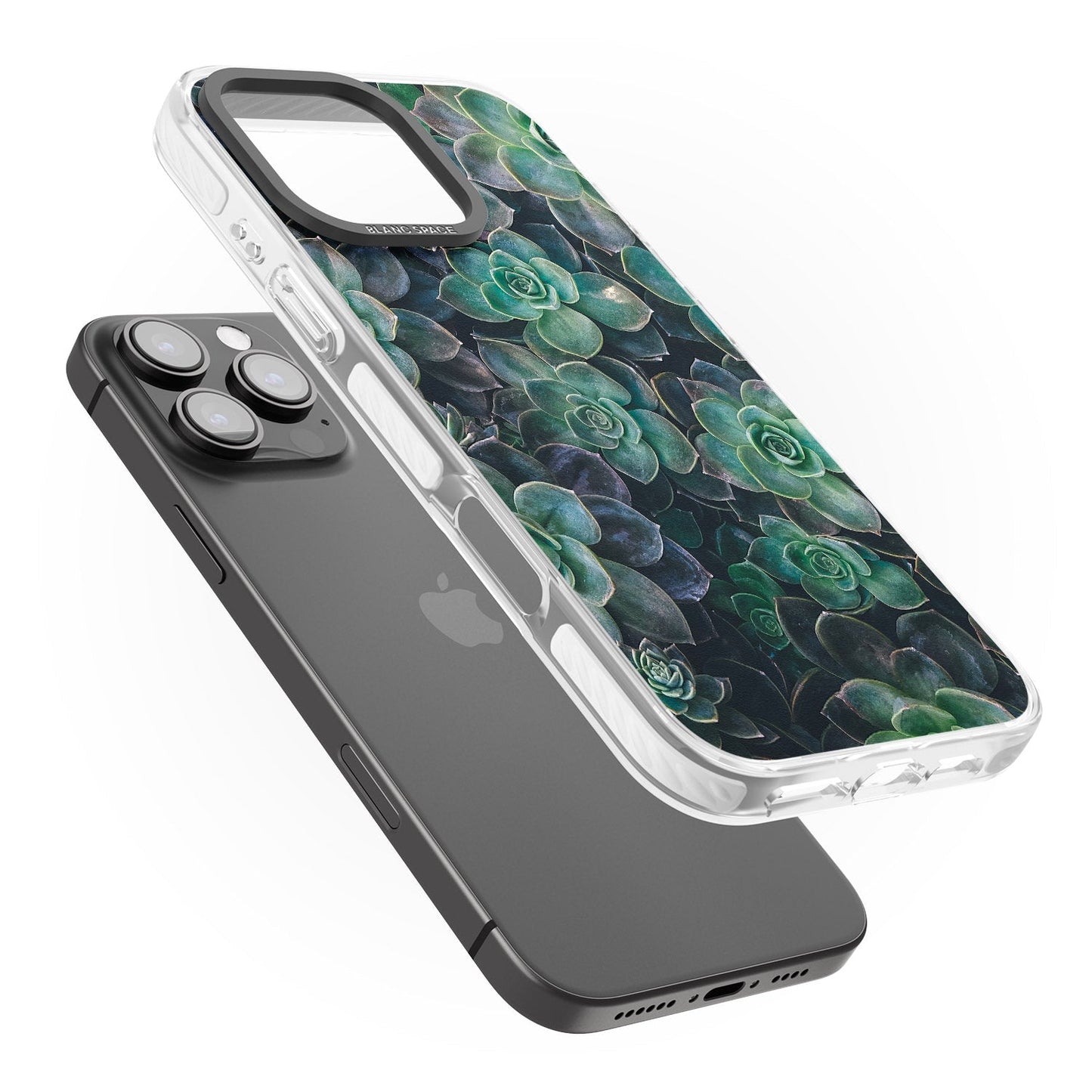 Succulent Bloom Botanical