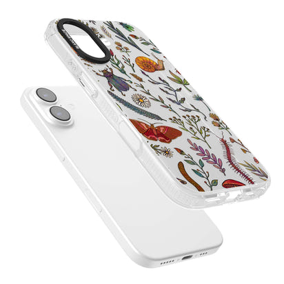 Insectes et fleurs sauvages