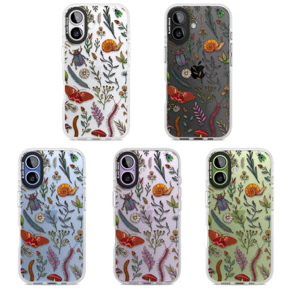 Insectes et fleurs sauvages