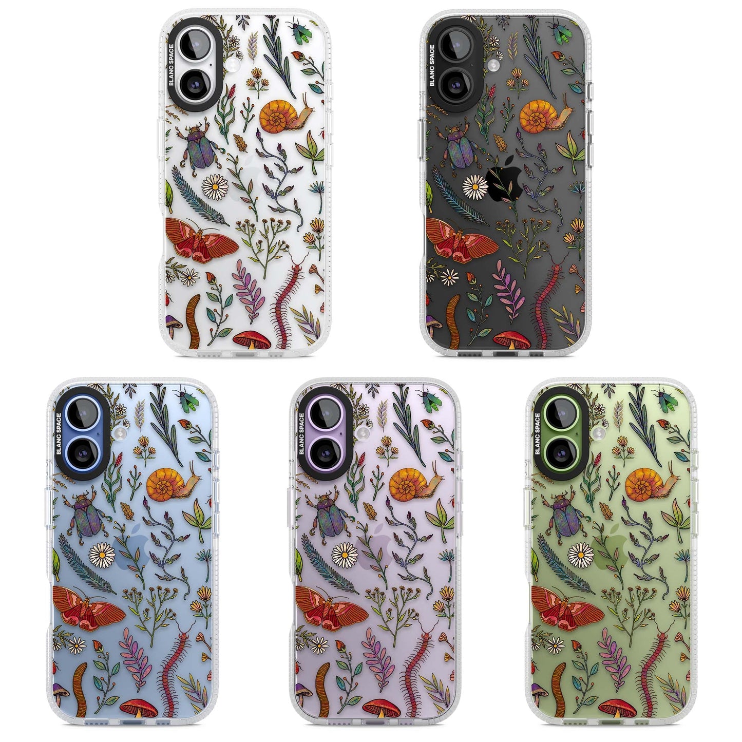 Insectes et fleurs sauvages