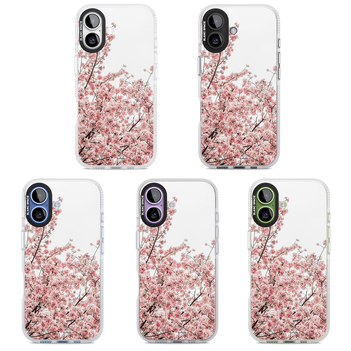 Cherry Blossom Bloom