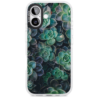 Succulent Bloom Botanical