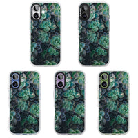 Succulent Bloom Botanical