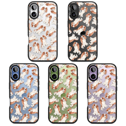 Cavalier King Charles Spaniel