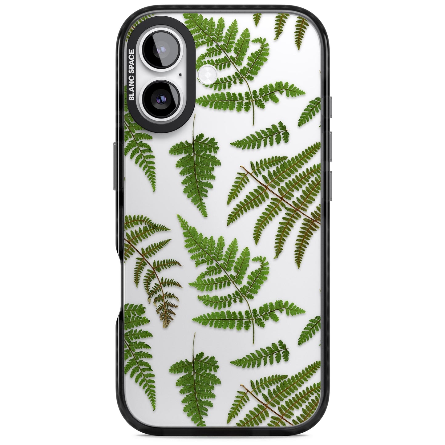Leafy Ferns