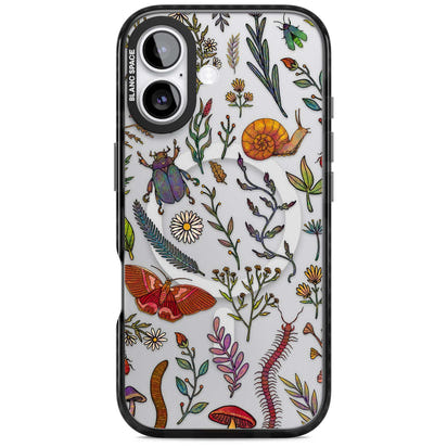 Insectes et fleurs sauvages