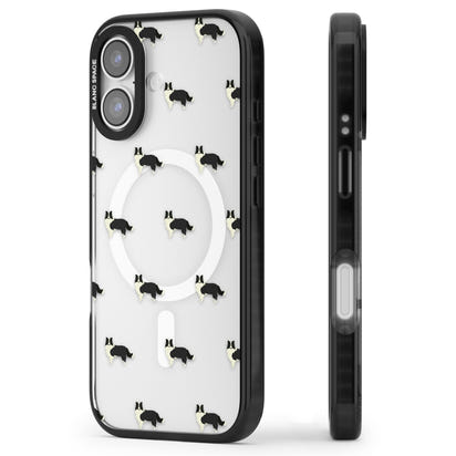 Border Collie Pattern Clear