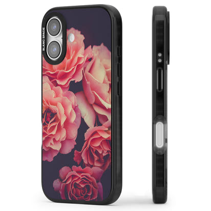 Mitternachtsrosenblüte