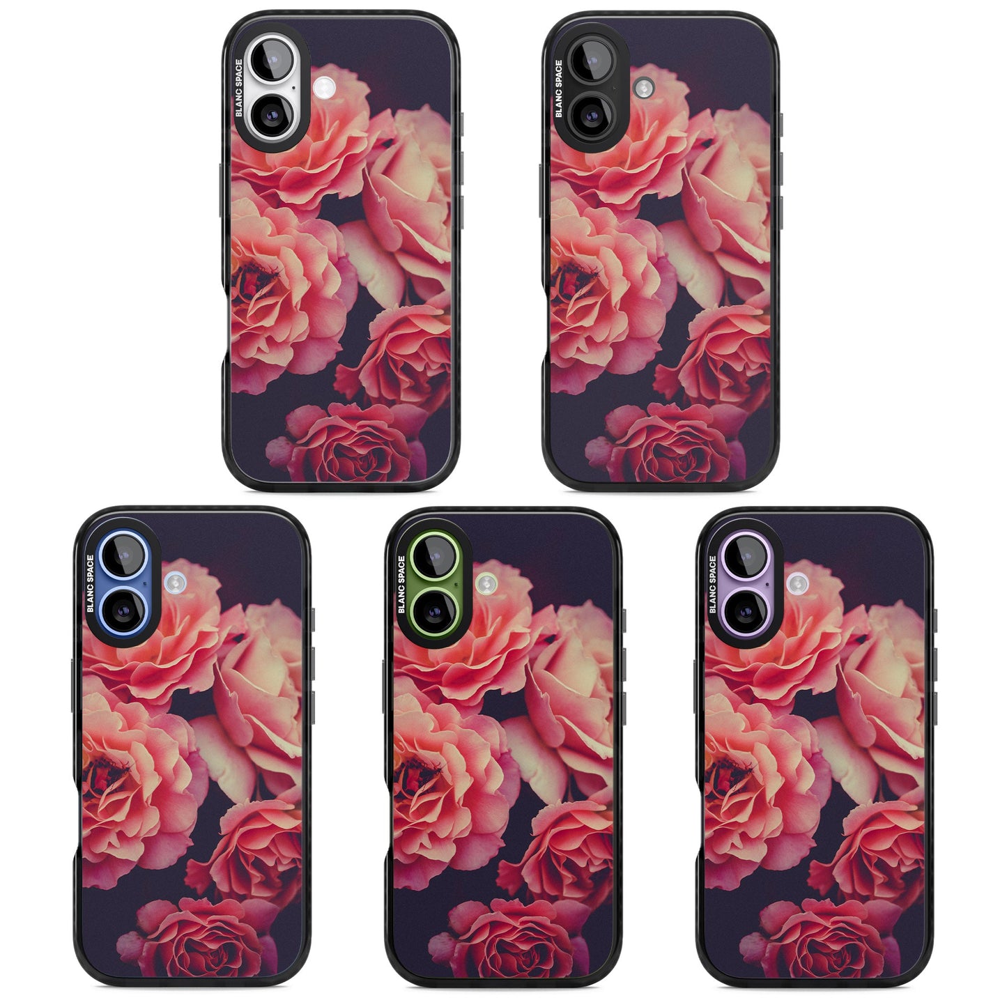 Mitternachtsrosenblüte